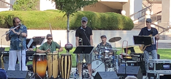 Photograph of No Comprende in 2018